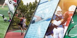 乒乓球：樊振东德国杯四战全胜